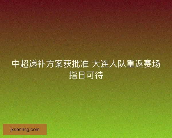 中超递补方案获批准 大连人队重返赛场指日可待