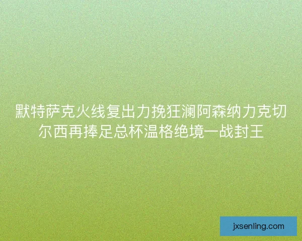 默特萨克火线复出力挽狂澜阿森纳力克切尔西再捧足总杯温格绝境一战封王