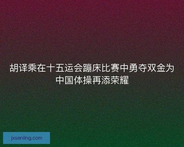 胡译乘在十五运会蹦床比赛中勇夺双金为中国体操再添荣耀